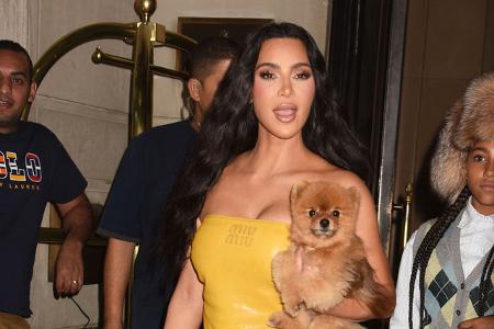 ...ziemlich hohen Haustierumsatz haben die konsumfreudigen Kardashians. 'Radar’ zählte neun Tiere, die kamen und wieder gehen mussten, darunter Bengalkätzchen, ein Pfau und verschiedene Hunde, die nac ...