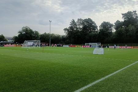 DFB-Spiel gegen Ungarn fast ausverkauft