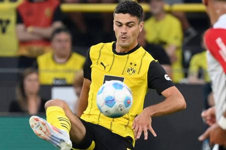 MITTELFELD: Giovanni Reyna