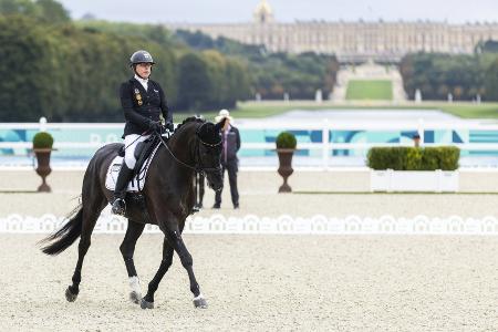 Para-Dressur: Bronze für deutsches Team