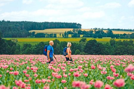 Sibyllenbad, Mohnfeldern