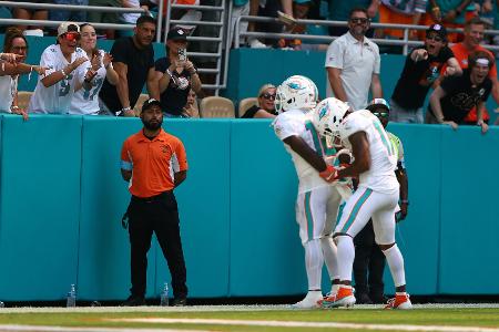 Dolphins verurteilen 