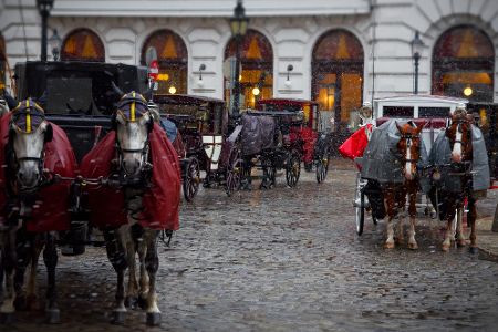 Kutschen mit Pferden stehen im Regen