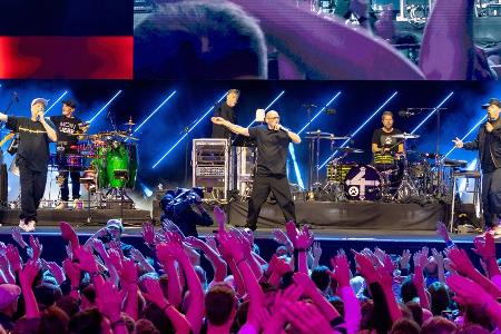 Thomas D und Michi Beck: 