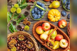 Herbstanfang: Dieses Obst und Gemüse hat jetzt Saison