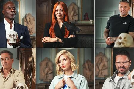 Mit Rückkehrerin: Diese sechs Promis sind bei 