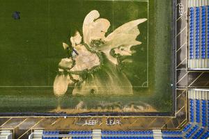 Zu viel Geld: AFC Wimbledon stoppt Spendenaktion von Fans