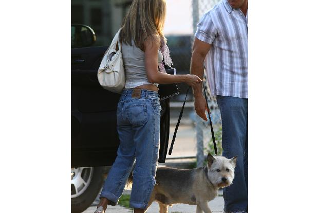 Jennifer Aniston wurde beim 'Friends'-Dreh zum Hunde-Fan, als sie Norman traf, der zum 