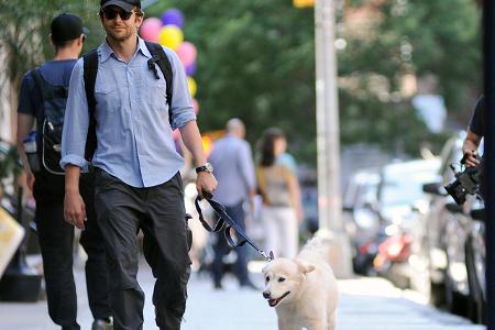 Der erste Hund, den Bradley Cooper adoptierte, war Samson – der Schauspieler hatte ihn auf einer Website entdeckt, auf der Tiere vorgestellt wurden, die zur Tötung vorgesehen waren, falls sich kein ne ...