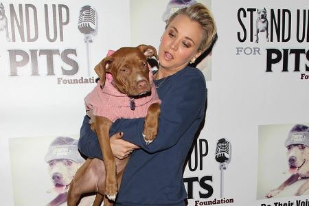 Kaley Cuoco kommt hingegen an keinem Pitbull vorbei und sie hat bereits drei adoptiert: Norman, Ruby und Shirley.
