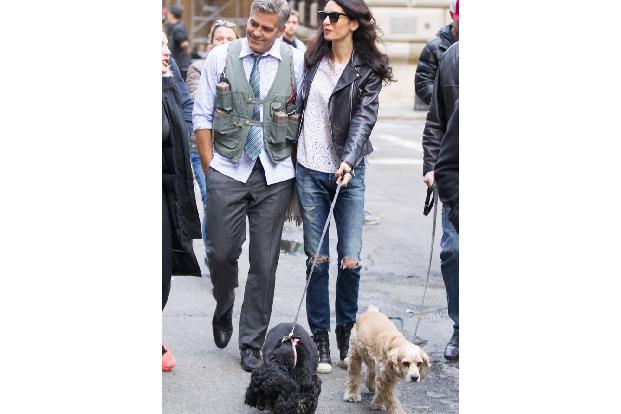 George Clooney ist ein weiterer Star, der online Hunde anschaute, einem bestimmten Hundeblick nicht widerstehen konnte und zum Telefon griff. 