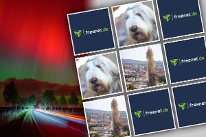 Die Bilder des Monats