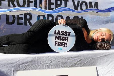 Sarah Connor: Aufsehenerregender Protest für Orca-Wale