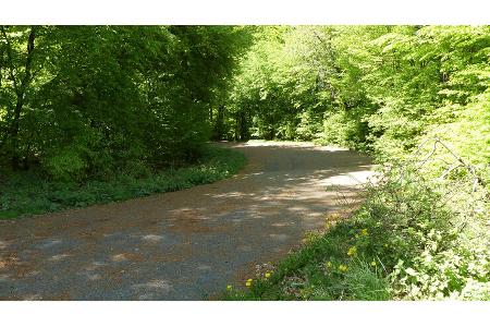 Scharfer Kopf - Nürburgring - Südschleife