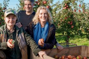 Neuer "Tatort" aus Hannover: Charlotte Lindholm ist wieder im Dienst