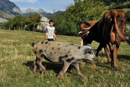 Albanien mit dem Campingbus Bauernhof f