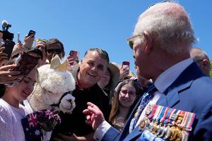 König Charles in Australien: Dieses Alpaka unterstützt seine Monarchie