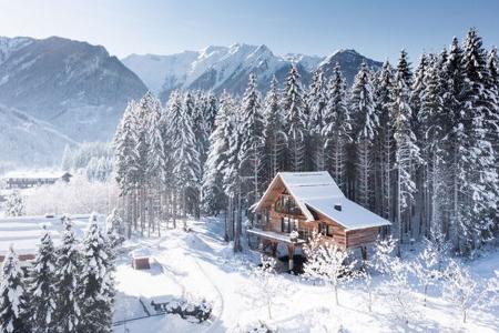WANDER- & WELLNESSHOTEL GASSNER - BAUMHAUS, SALZBURGER LAND, ÖSTERREICH