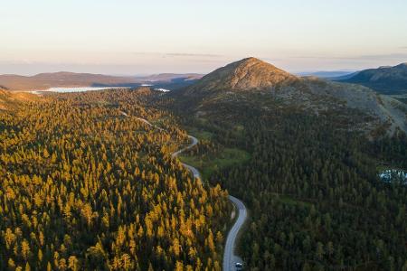 Schwedens waldiger Norden: Einsame Weiten und endlose Wälder