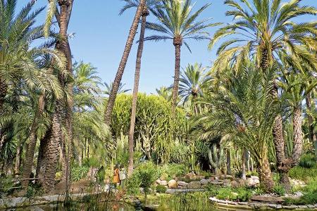 Überwintern im Süden