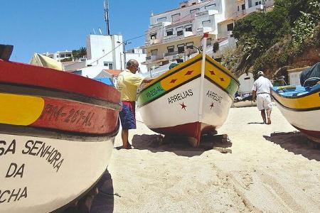 Überwintern im Süden