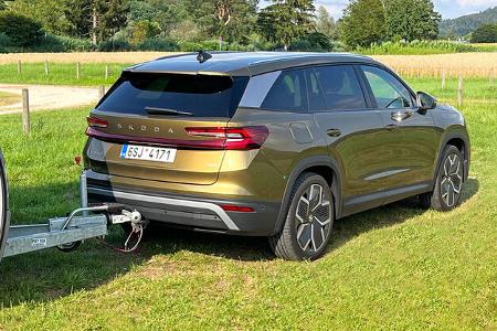 Skoda Kodiaq, Heck, Caravan, Gras, Bäume