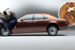 Rolls-Royce Ghost Bär Grizzly Bärenkostüm Versicherungsbetrug