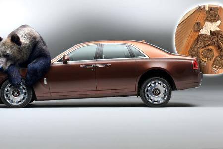 Rolls-Royce Ghost Bär Grizzly Bärenkostüm Versicherungsbetrug