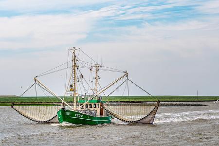 Nordseeküste - Krabbenkutter