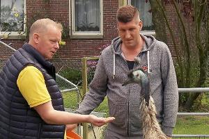 "Bauer sucht Frau": Kandidatin zeigt bei neuem Bauer Herz für Trecker