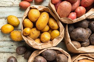 Festkochend bis mehlig: Welche Kartoffelsorte eignet sich wofür?