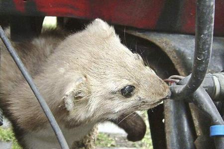 Versicherung Wohnmobil