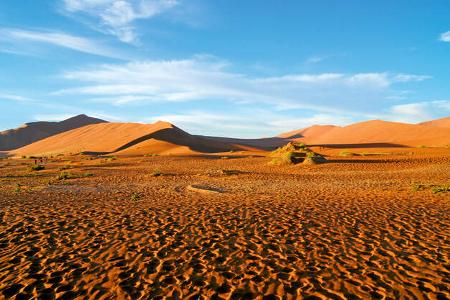 Reise-Service: Mieten in Übersee