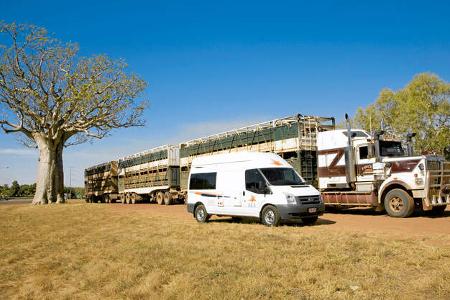 Reise-Service: Mieten in Übersee