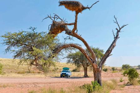 Reise-Service: Mieten in Übersee