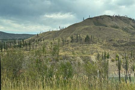 Westkanada Wohnmobilurlaub