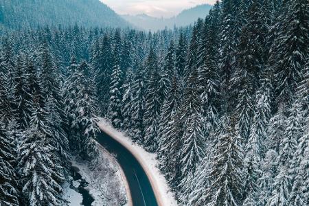 Estland, Lettland, Slowakei