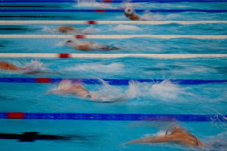 DSV plant Schutzkonzept: 