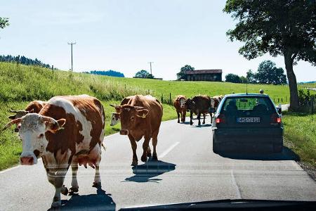 Kfz-Versicherungsvergleich