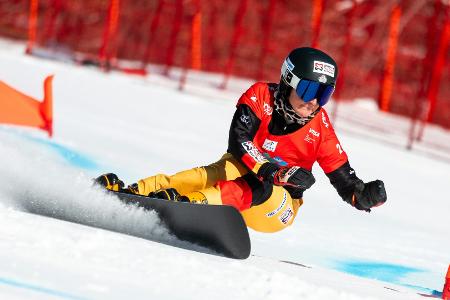 Snowboard: Hofmeister 