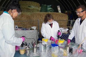 "Bauer sucht Frau": Hofwoche endet, bevor sie richtig begonnen hat