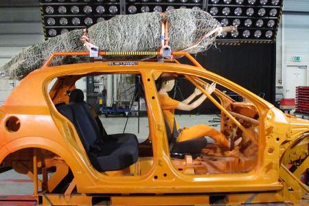 Weihnachtsbaumtransport