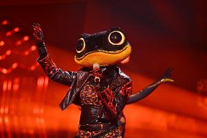 "The Masked Singer": Diese beiden Promis sind ausgeschieden