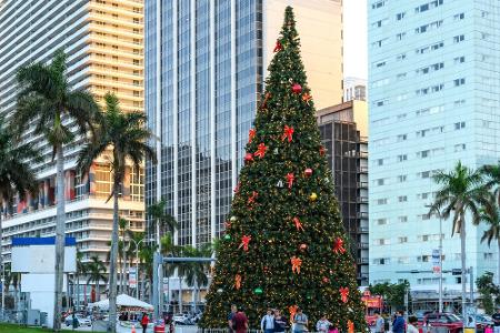 ... und die Weihnachtsbäume
