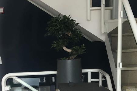 Byton Standort in Ismaning