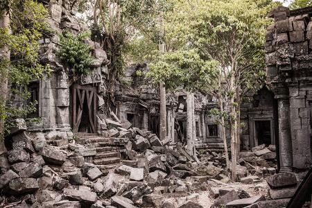 Tempelanlage Angkor im Urwald