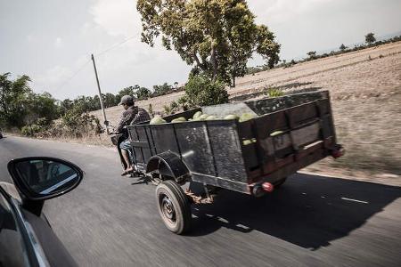 Mofa mit Wassermelonen-Anhänger