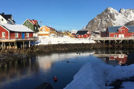 VW T6 California Bulli Camping Lofoten Norwegen