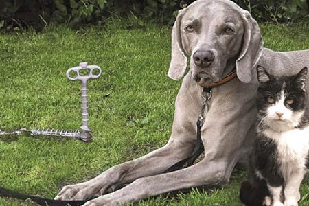 Zubehör Neuheiten 2019 Peggy Peg