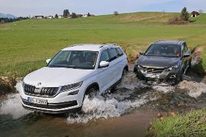 Peugeot 5008 BlueHDi 180 GT, Skoda Kodiaq 2.0 TDI 4x4, Frontansicht